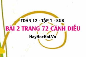 Bài 2 trang 72 Toán 12 tập 1 Cánh Diều